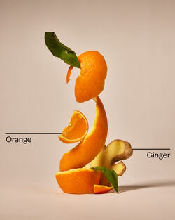 Orange Ginger Single Wick Candle