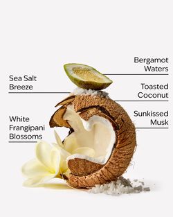 At The Beach Body Wash image number null