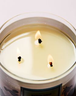 Bounty Hunter 3-Wick Candle image number null