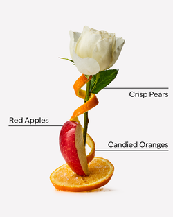 Winter Candy Apple Conditioner