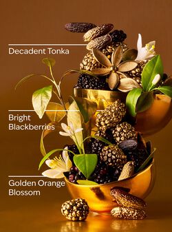 Touch of Gold Moisturizing Body Wash image number null