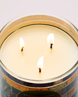 Sweet Kiwi & Starfruit 3-Wick Candle image number null