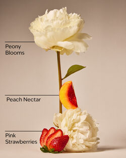 Gingham Gorgeous Body Wash image number null