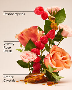 Into The Night Fine Fragrance Mist