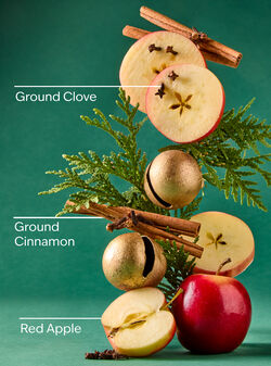 Tis The Season Wallflowers Fragrance Refill