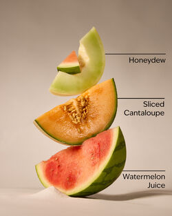 Sparkling Watermelon Wallflowers Fragrance Refill