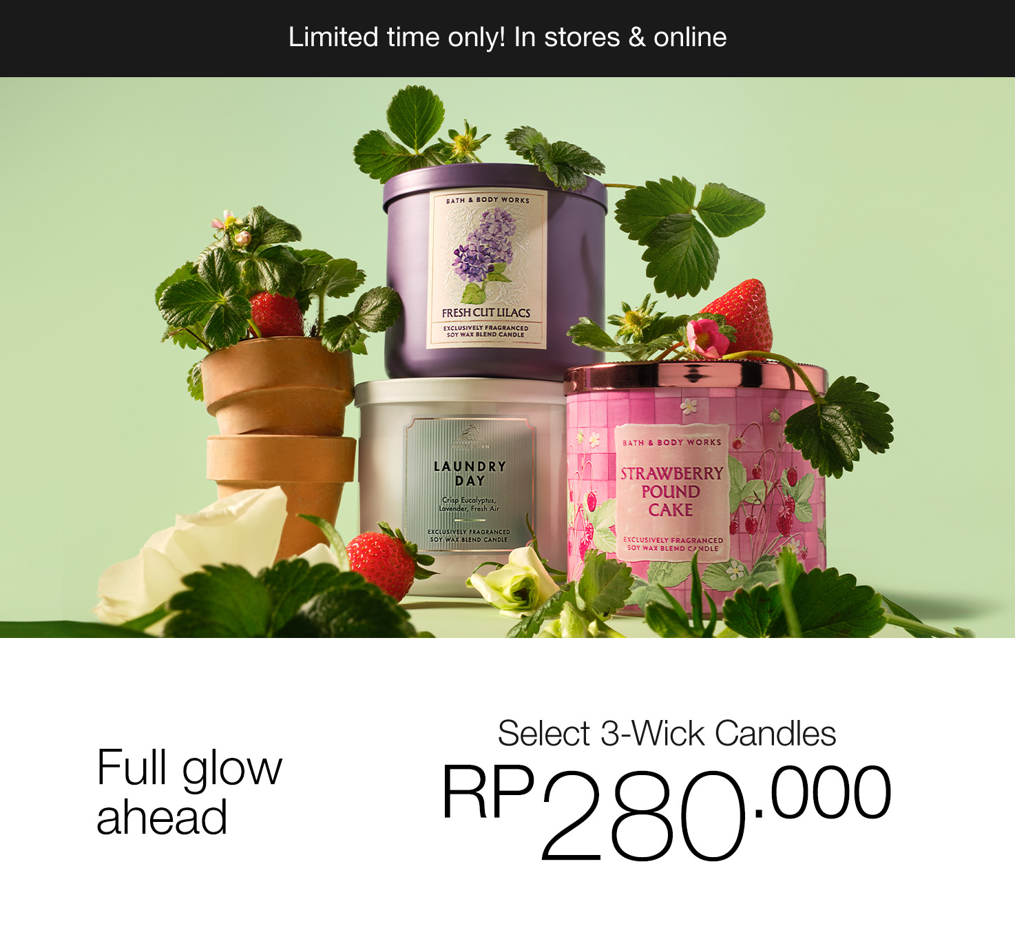 3-Wick Candles, 1 For Rp 280.000