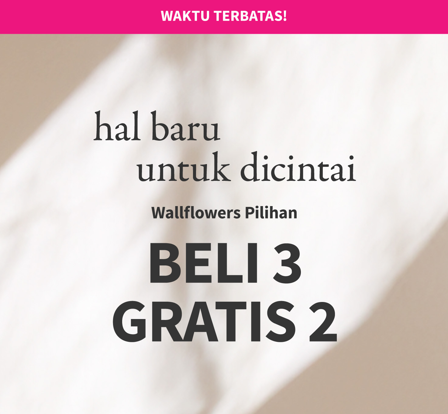 wallflowers-promotion