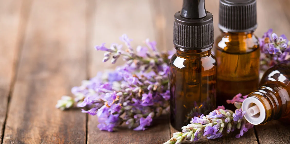 Obsesi Wewangian: Lavender