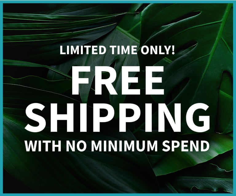 Free Shipping