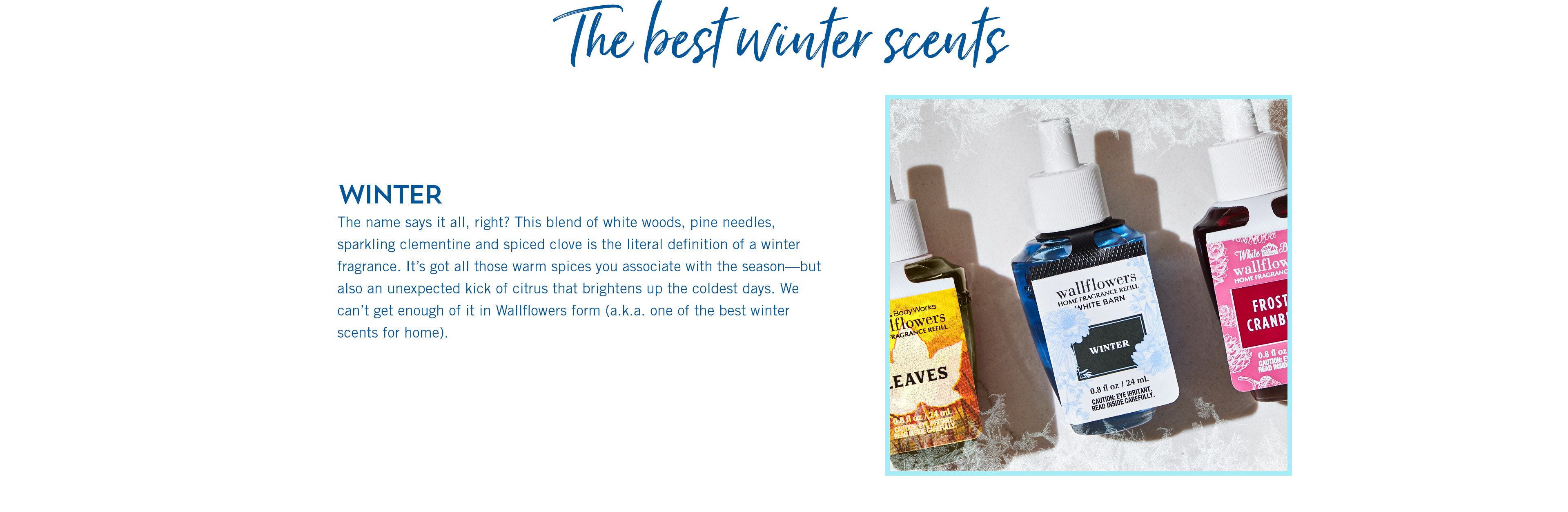 winter scent