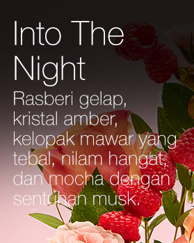 Into The Night 