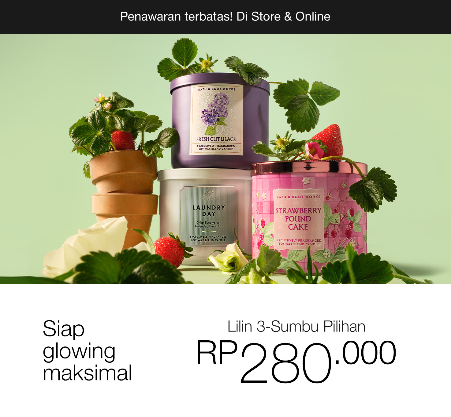 3-Wick Candles, 1 For Rp 280.000