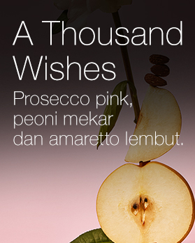 A Thousand Wishes