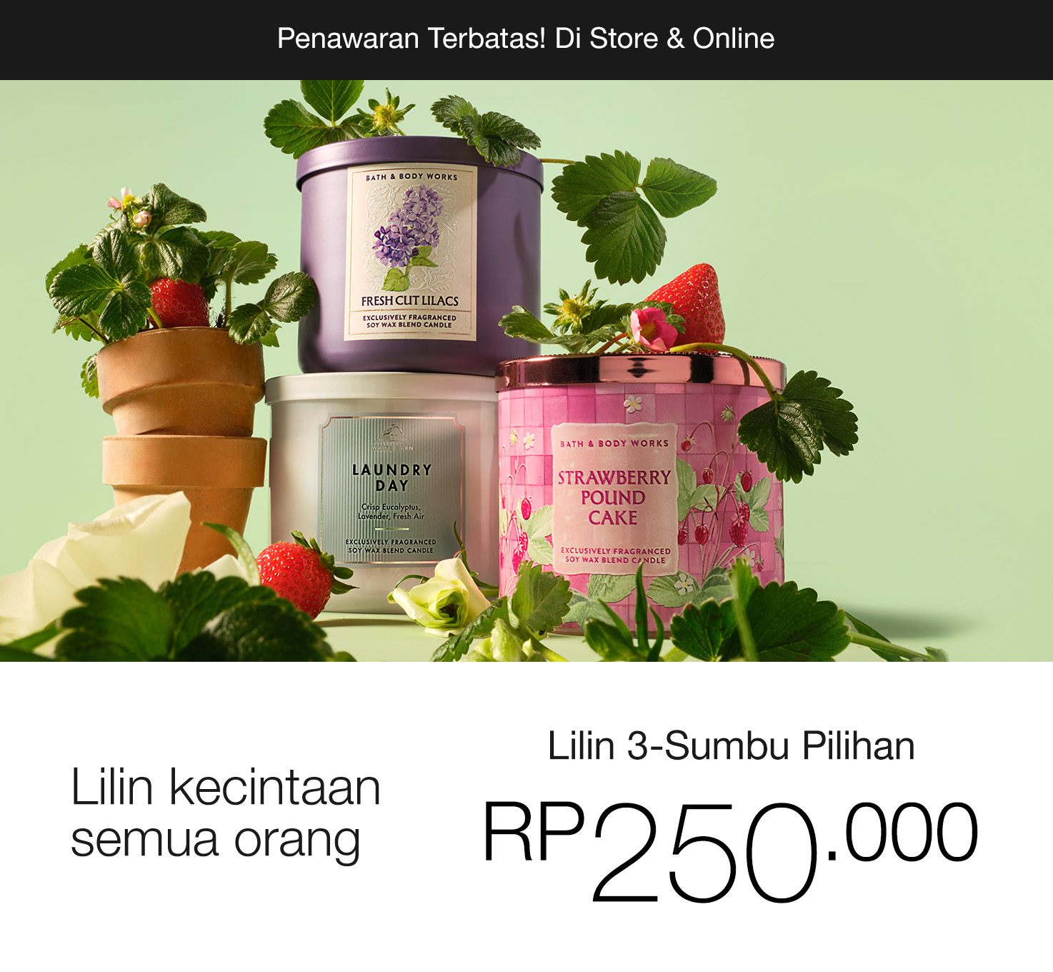 Select 3-Wick Candles, Buy 1 for Rp 250.000