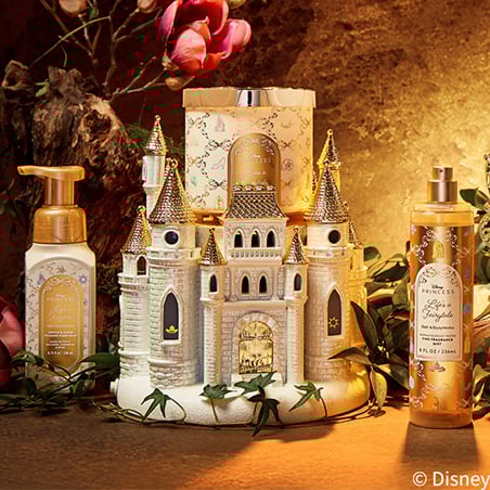 Disney Princess Collection